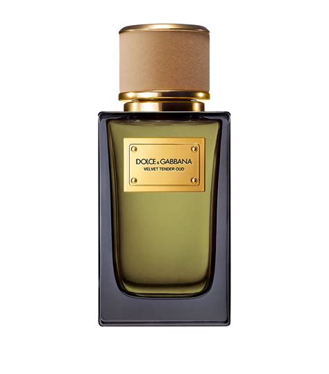 dolce gabbana velvet tender oud.